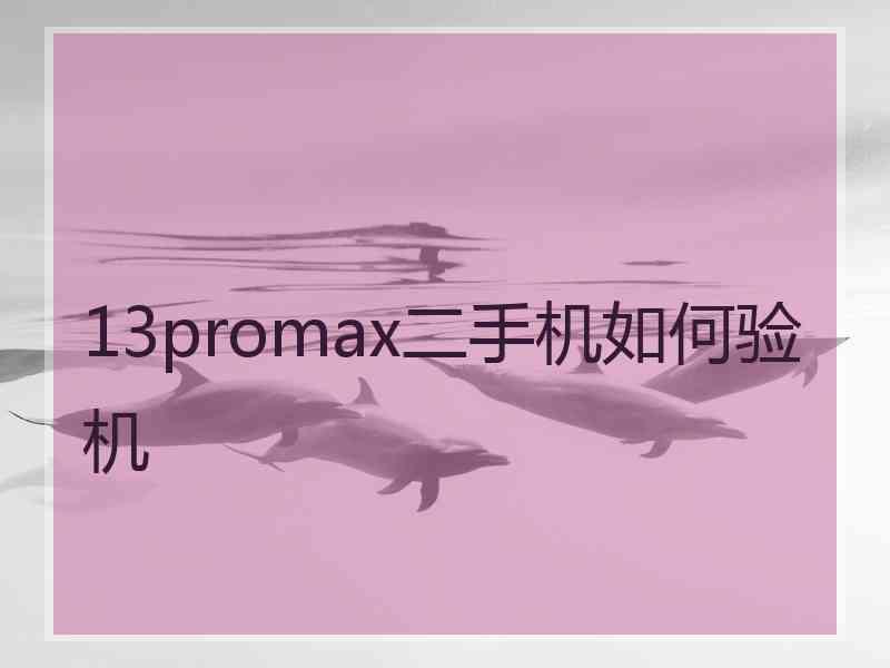 13promax二手机如何验机