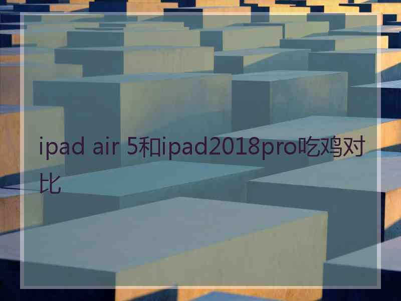 ipad air 5和ipad2018pro吃鸡对比