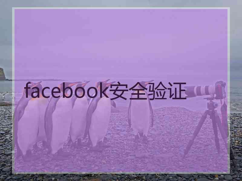 facebook安全验证