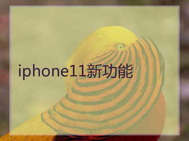 iphone11新功能