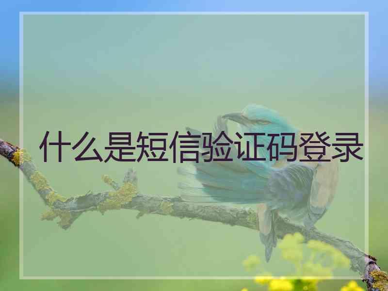 什么是短信验证码登录