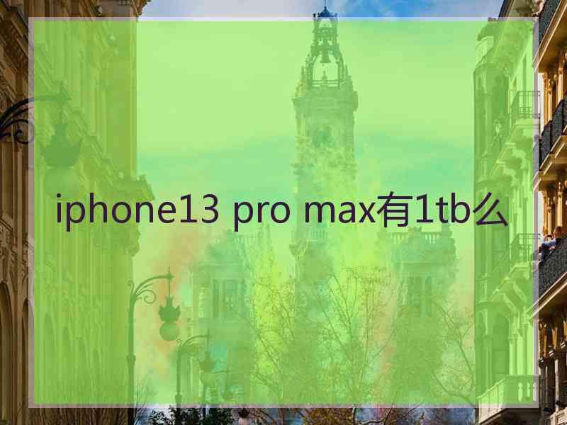 iphone13 pro max有1tb么