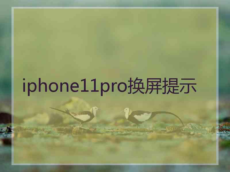 iphone11pro换屏提示