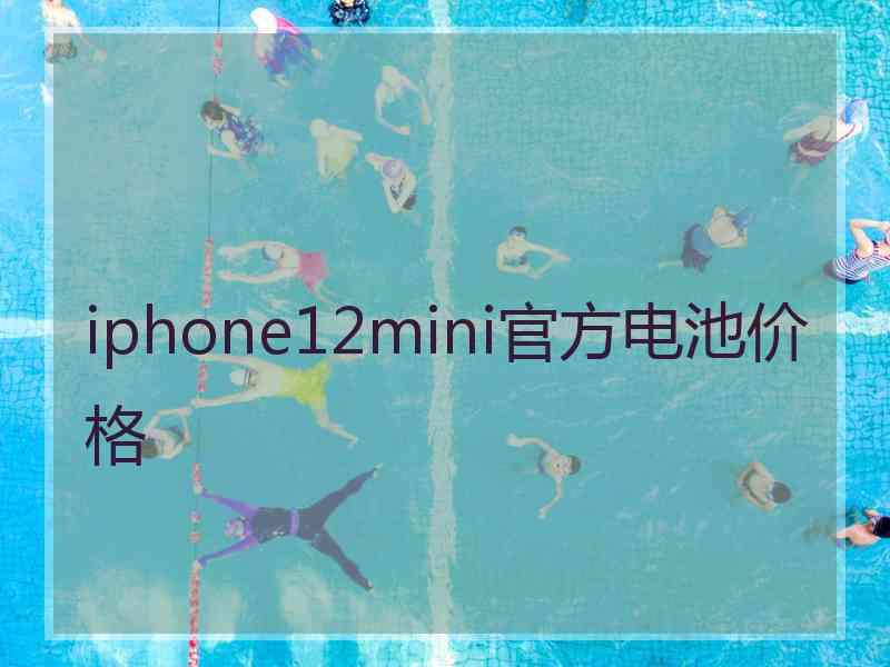 iphone12mini官方电池价格