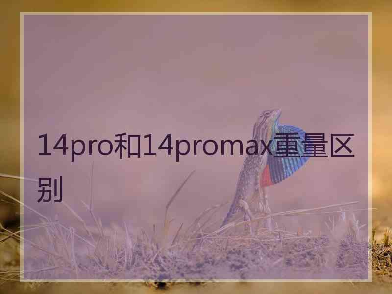 14pro和14promax重量区别