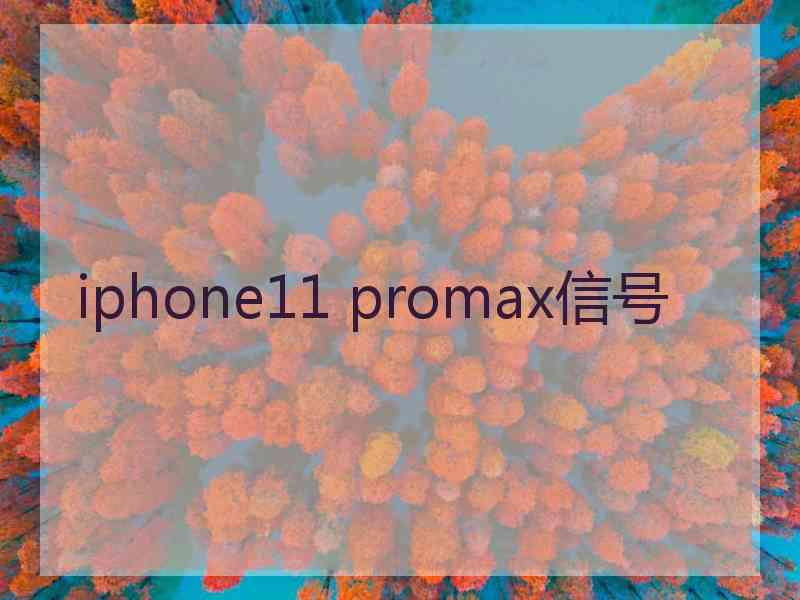 iphone11 promax信号