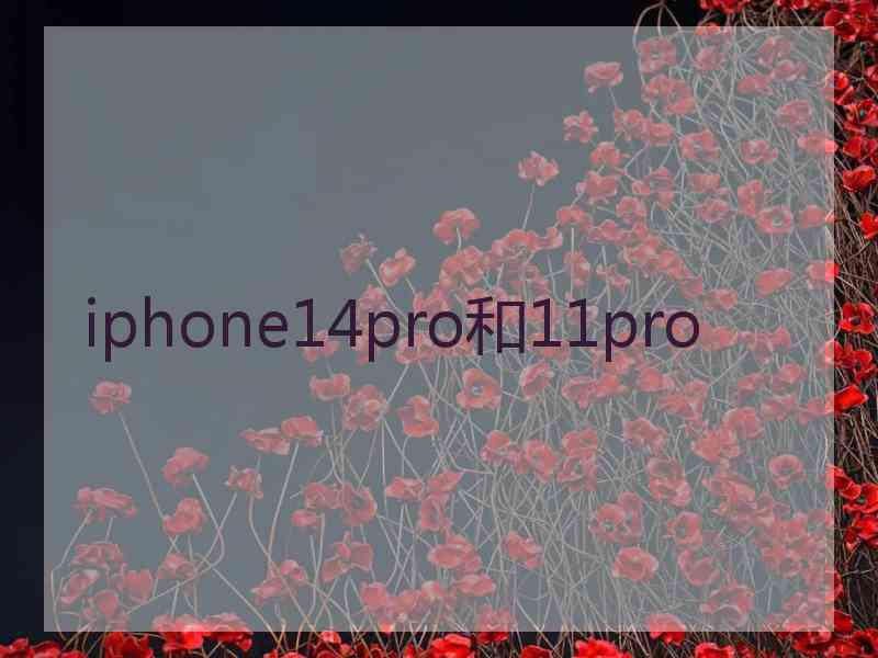 iphone14pro和11pro