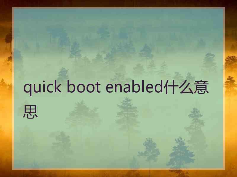 quick boot enabled什么意思