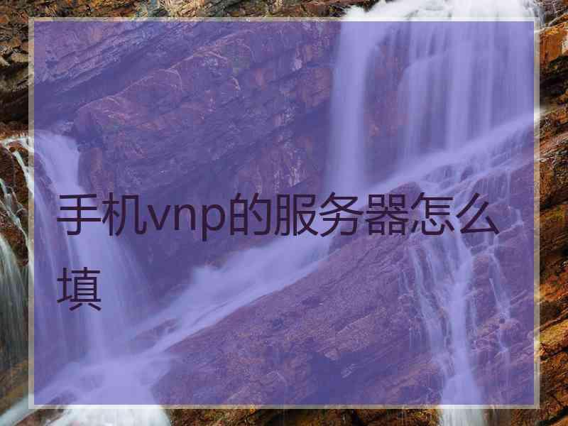 手机vnp的服务器怎么填