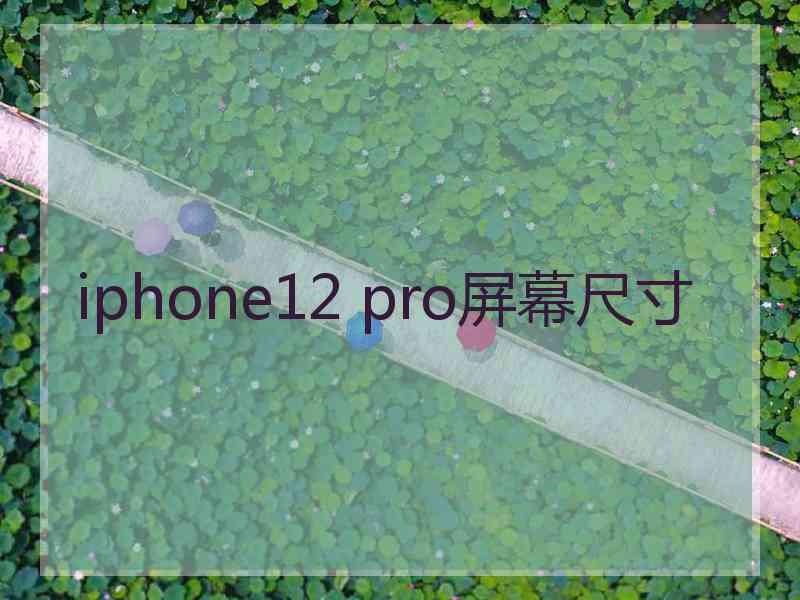 iphone12 pro屏幕尺寸