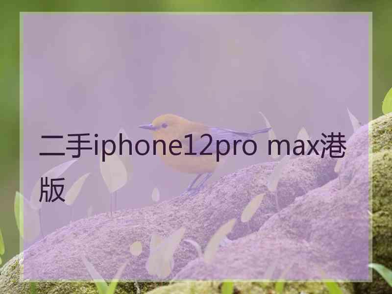 二手iphone12pro max港版