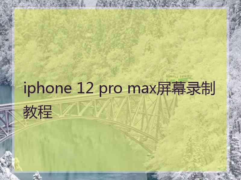 iphone 12 pro max屏幕录制教程