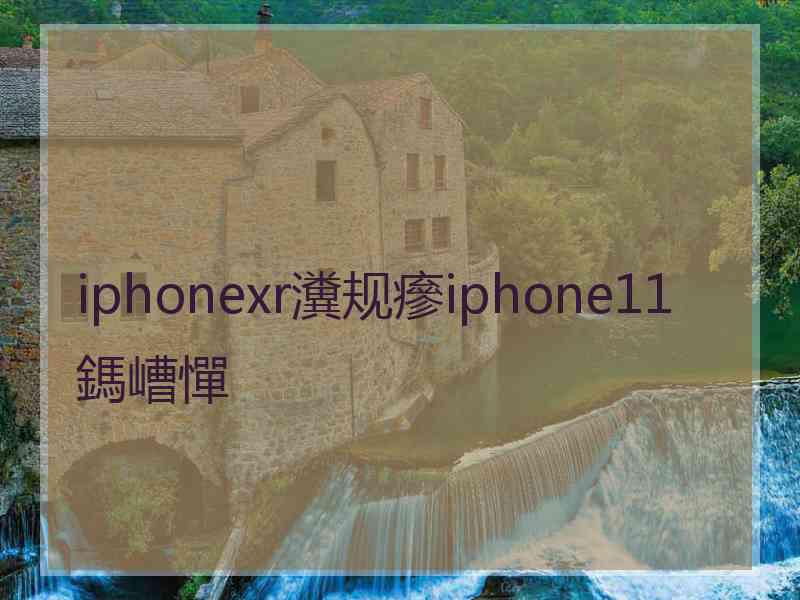 iphonexr瀵规瘮iphone11鎷嶆憚