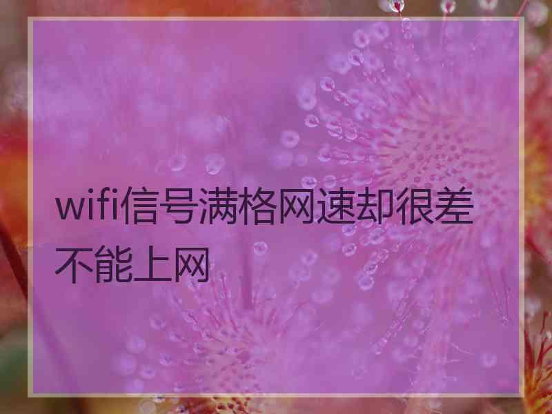 wifi信号满格网速却很差不能上网