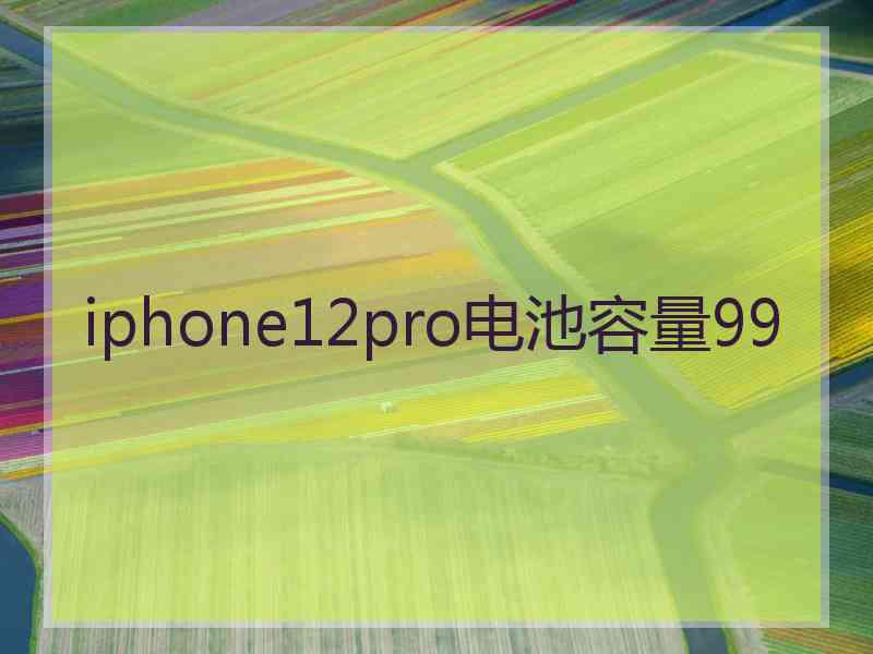 iphone12pro电池容量99