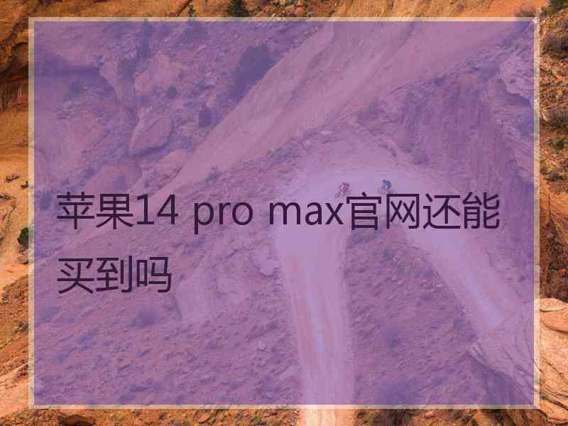 苹果14 pro max官网还能买到吗