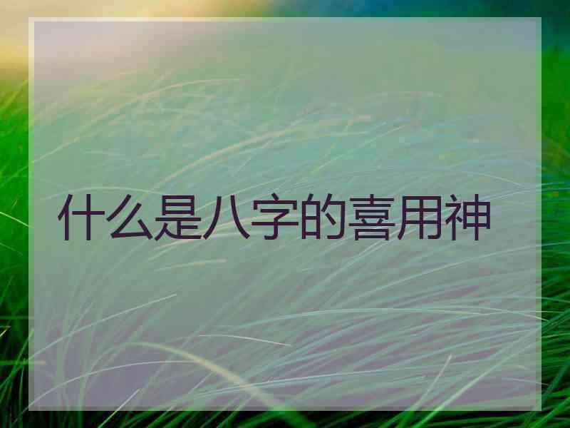 什么是八字的喜用神