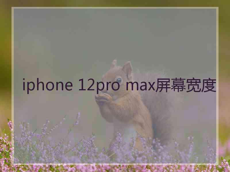 iphone 12pro max屏幕宽度