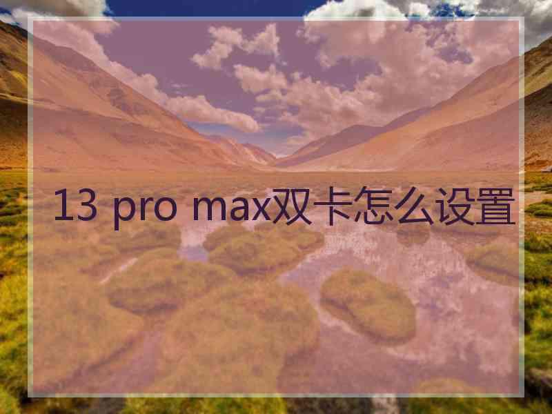 13 pro max双卡怎么设置