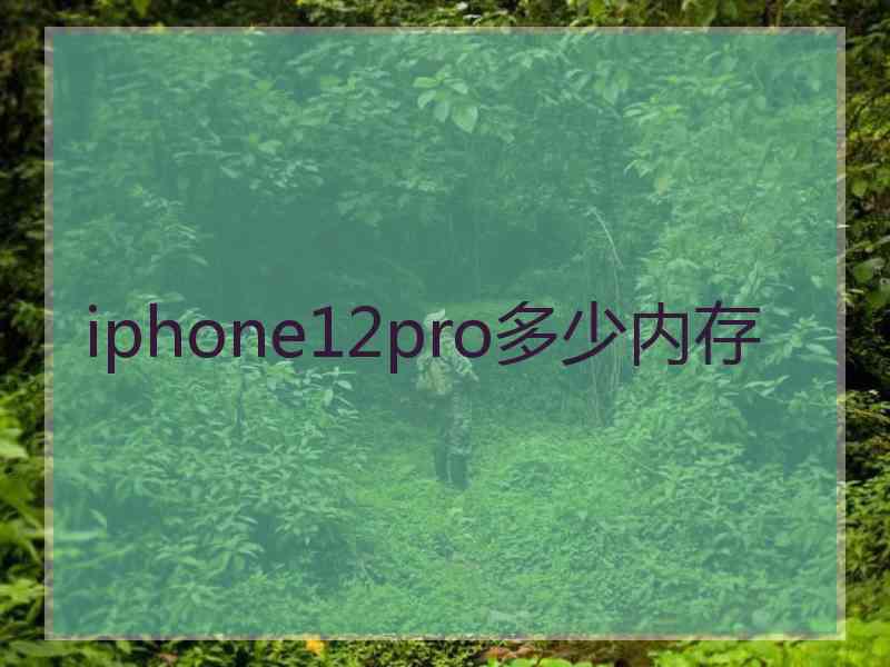 iphone12pro多少内存