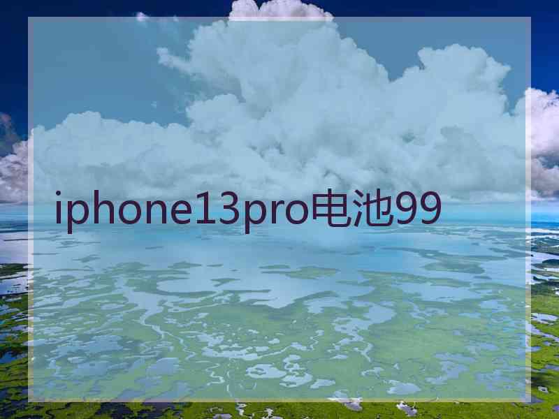 iphone13pro电池99