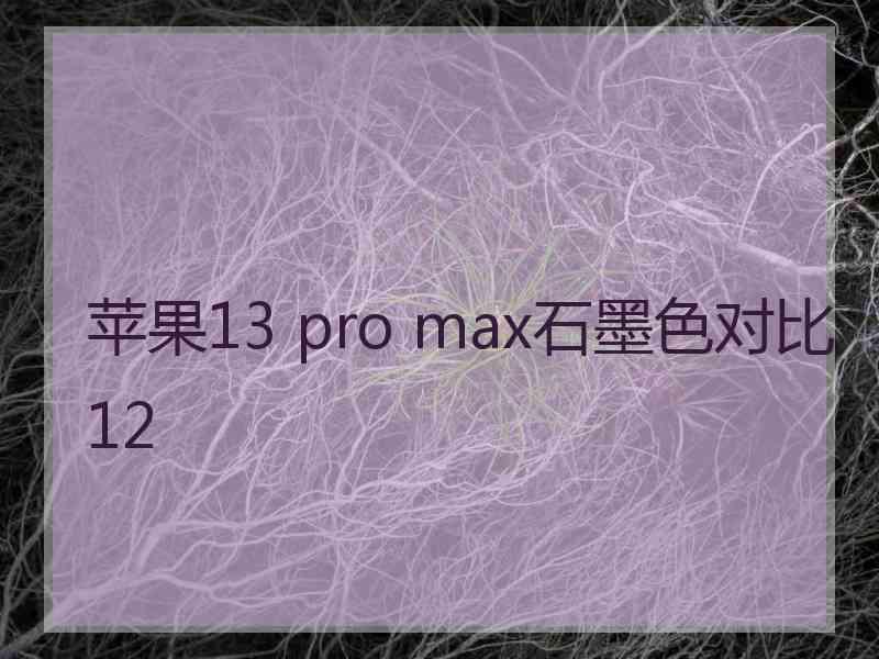 苹果13 pro max石墨色对比12