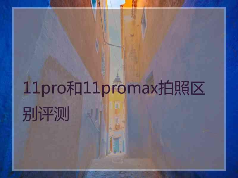 11pro和11promax拍照区别评测