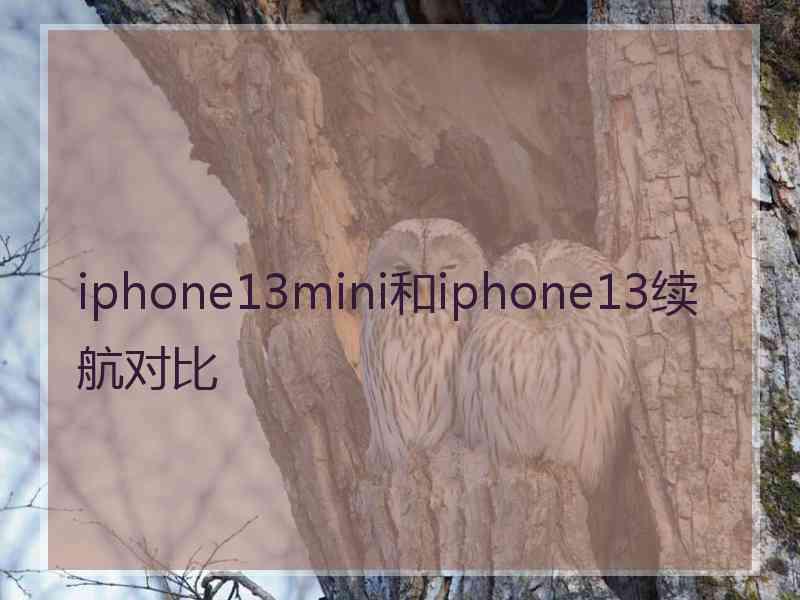 iphone13mini和iphone13续航对比