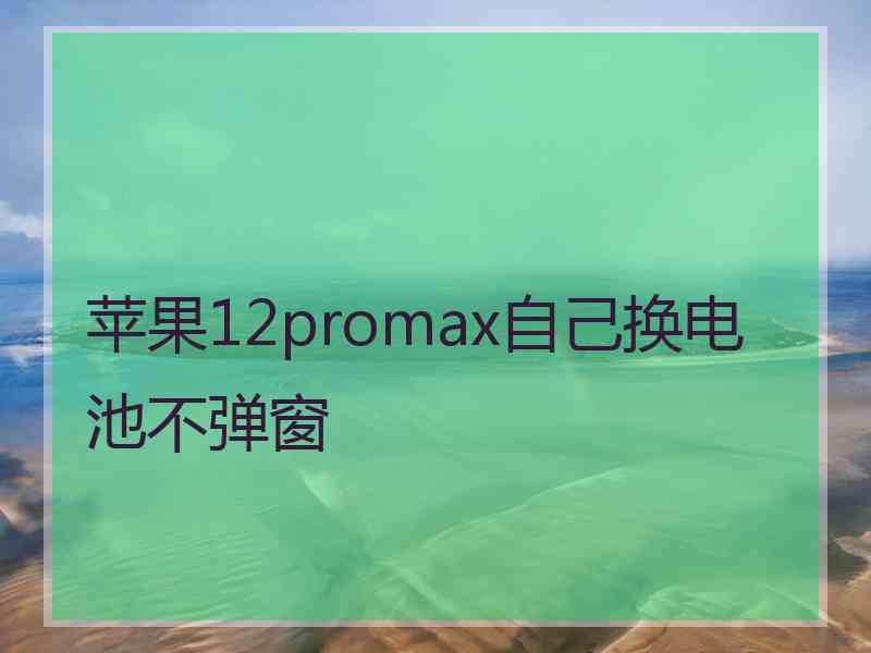 苹果12promax自己换电池不弹窗