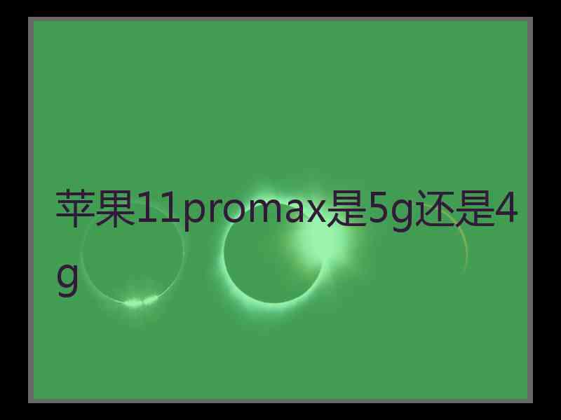 苹果11promax是5g还是4g