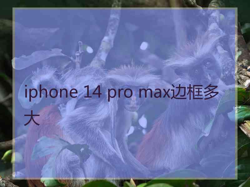 iphone 14 pro max边框多大