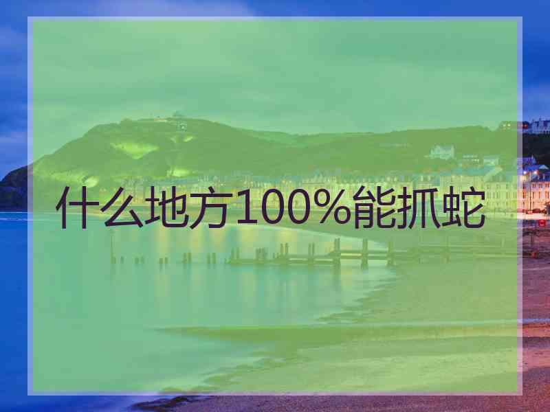 什么地方100%能抓蛇