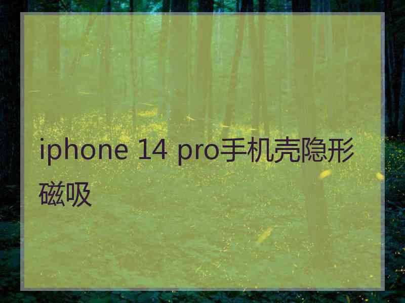 iphone 14 pro手机壳隐形磁吸