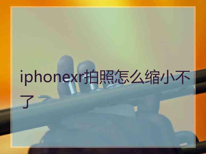 iphonexr拍照怎么缩小不了