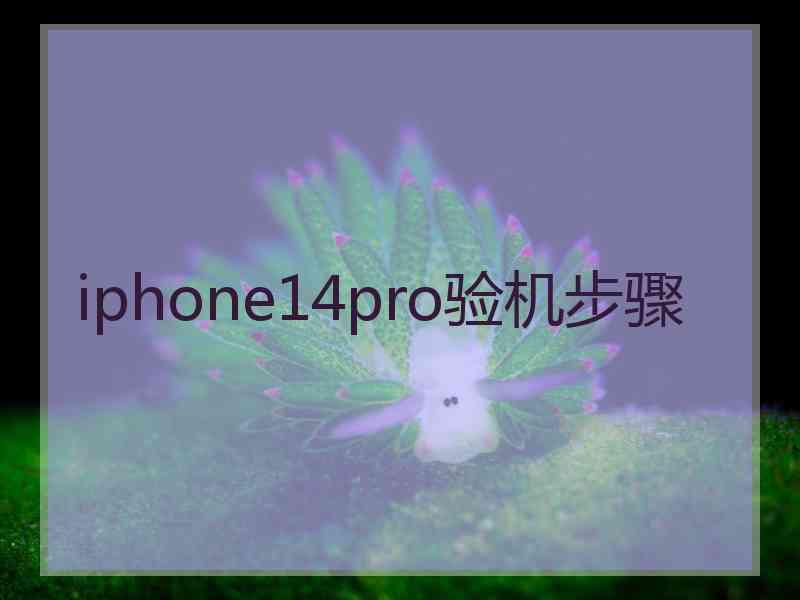 iphone14pro验机步骤