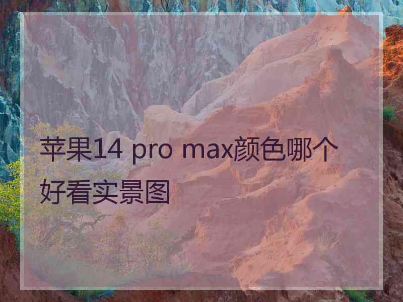 苹果14 pro max颜色哪个好看实景图