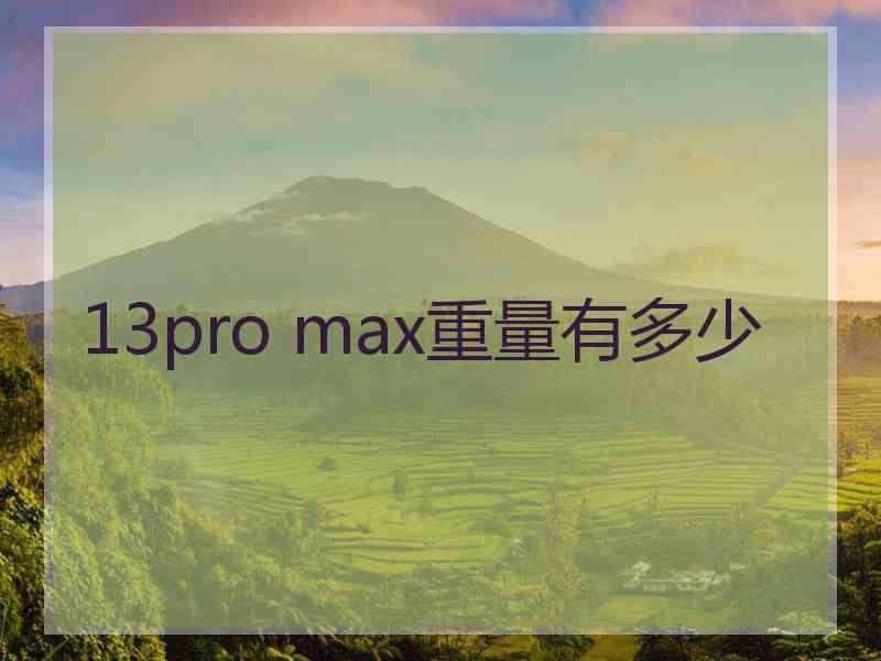 13pro max重量有多少