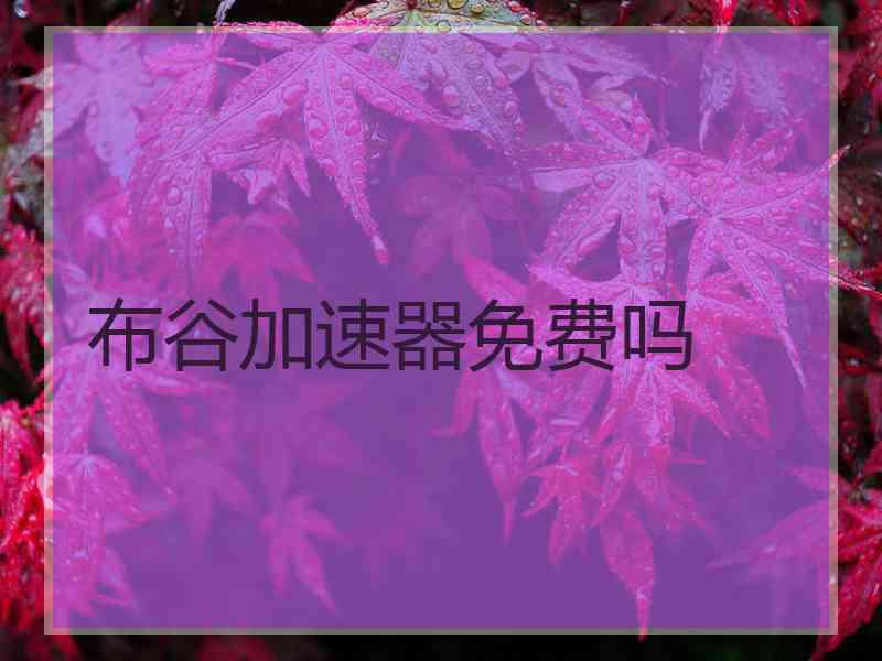 布谷加速器免费吗