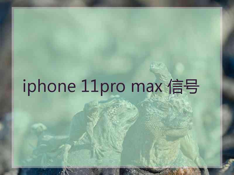 iphone 11pro max 信号