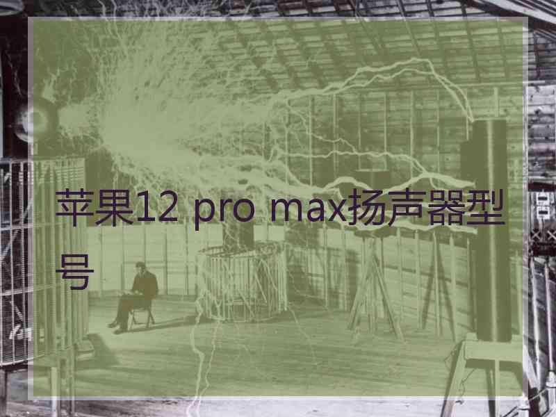 苹果12 pro max扬声器型号