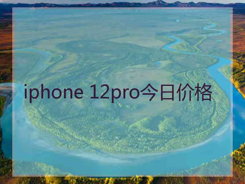 iphone 12pro今日价格