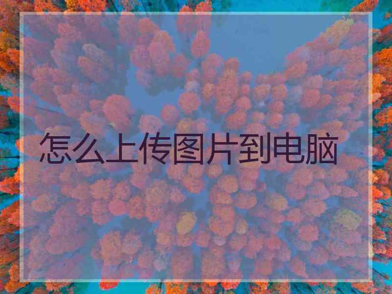 怎么上传图片到电脑