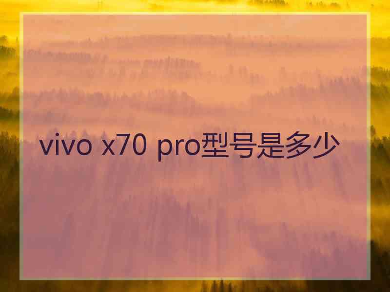 vivo x70 pro型号是多少