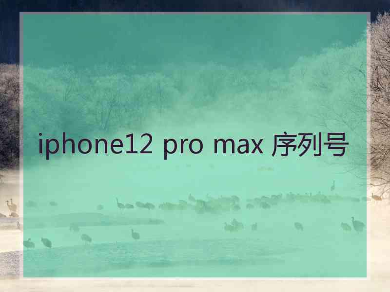 iphone12 pro max 序列号