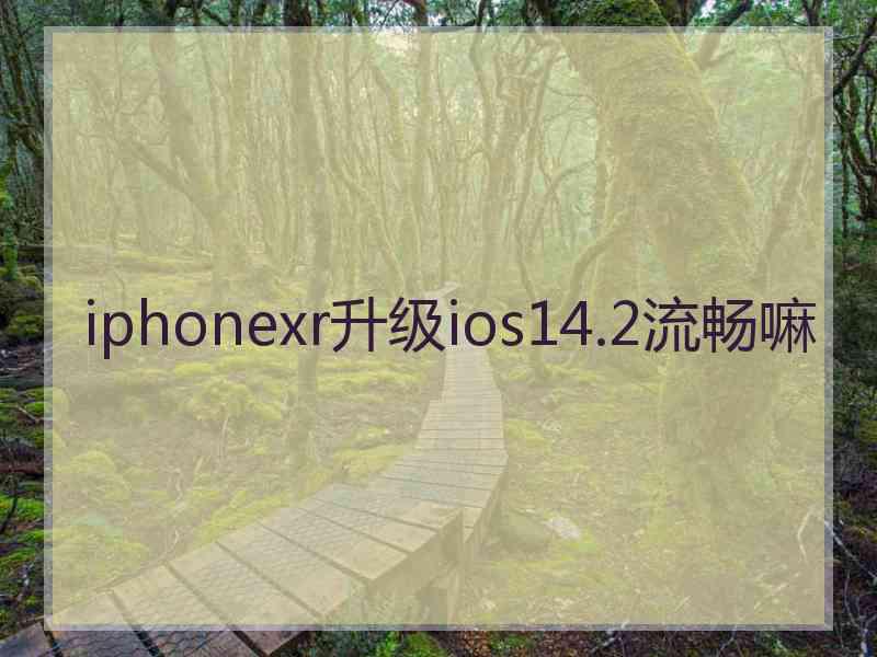 iphonexr升级ios14.2流畅嘛