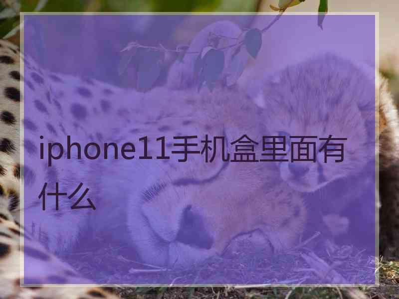 iphone11手机盒里面有什么