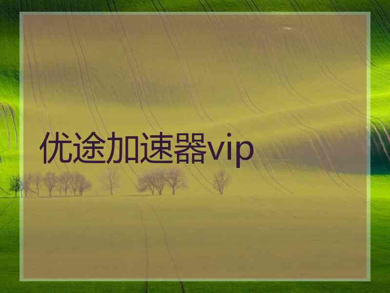 优途加速器vip