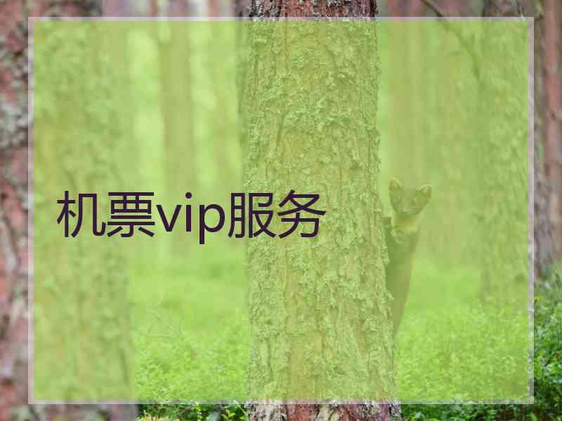 机票vip服务