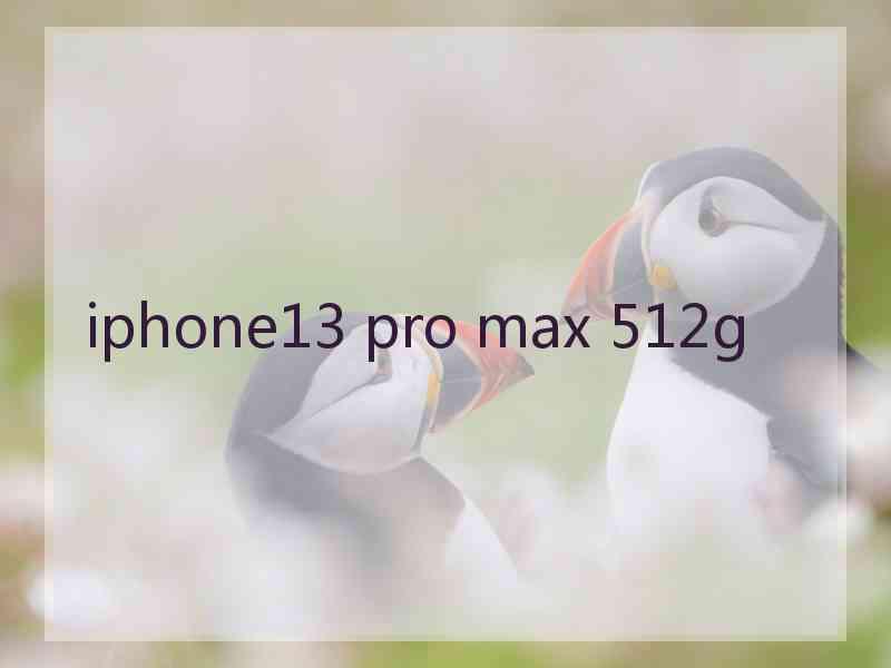 iphone13 pro max 512g