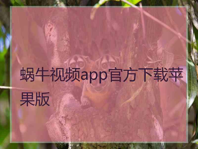 蜗牛视频app官方下载苹果版